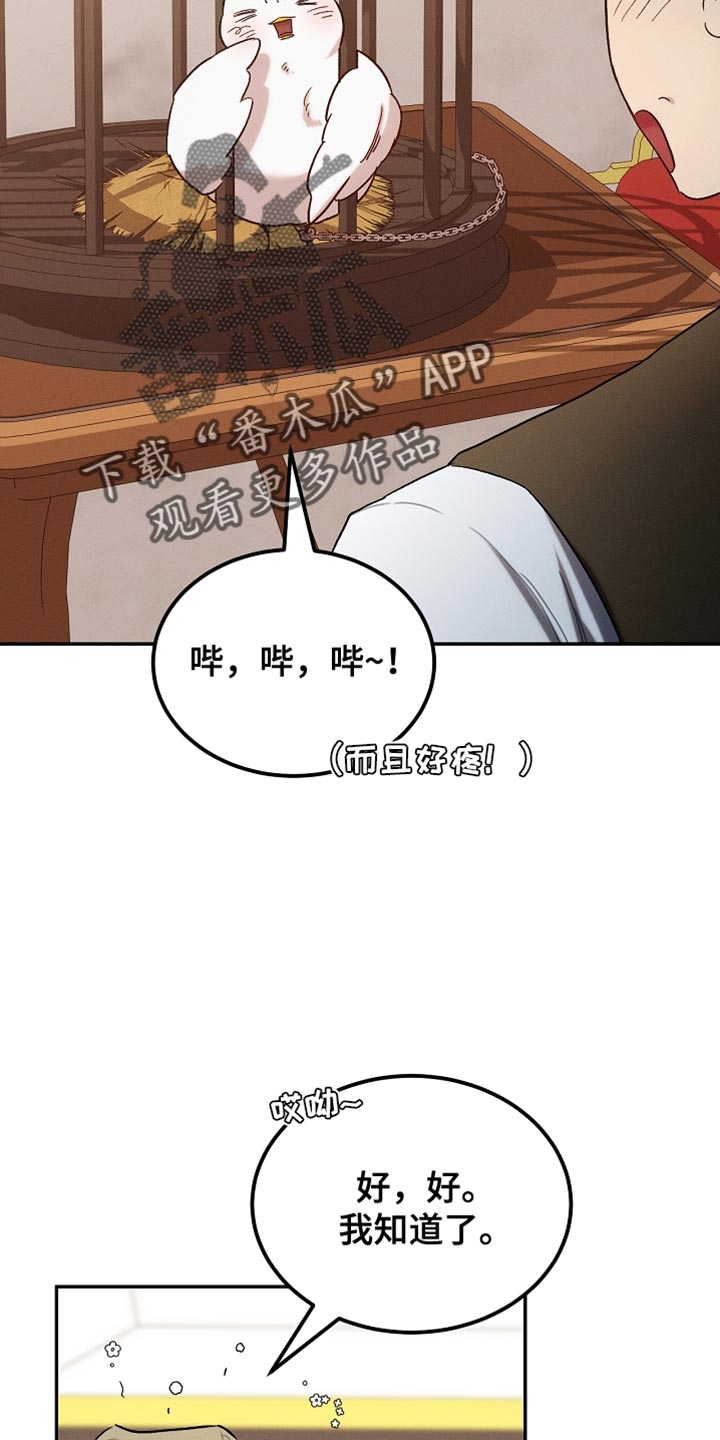 白鸟奇遇记漫画全集漫画,第132章：【第二季】单纯的眼神4图