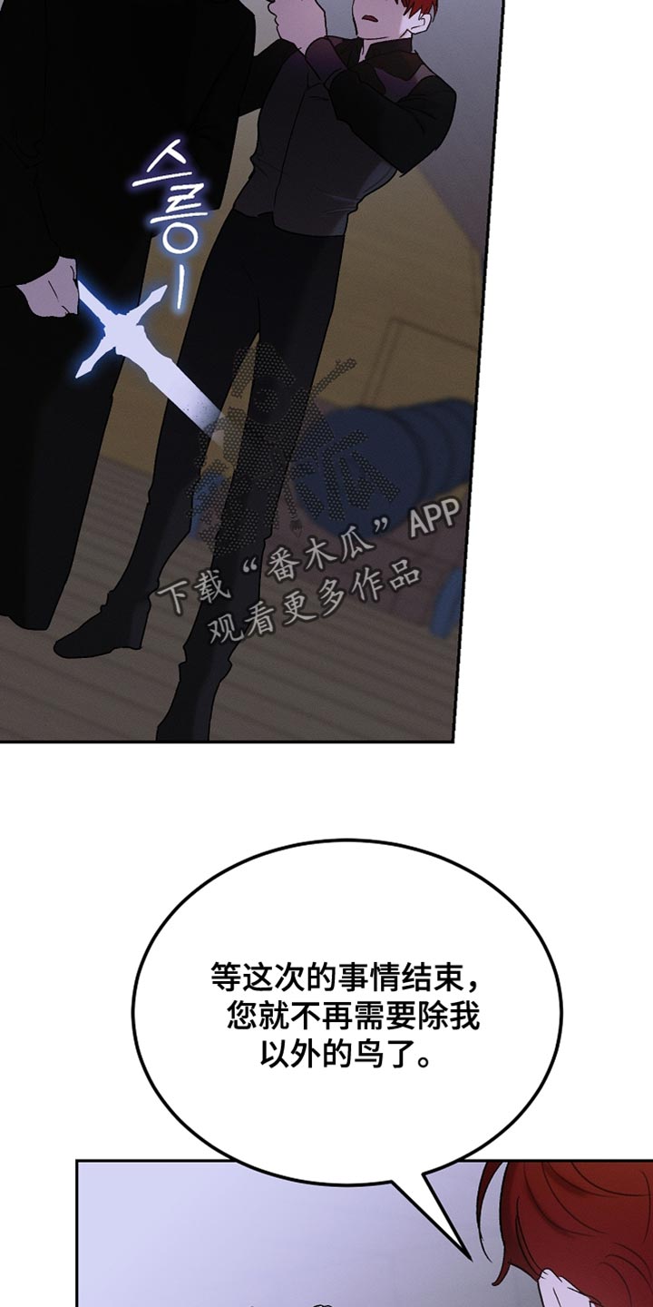 白鸟奇遇记下拉漫画漫画,第131章：【第二季】随时都可以消失3图