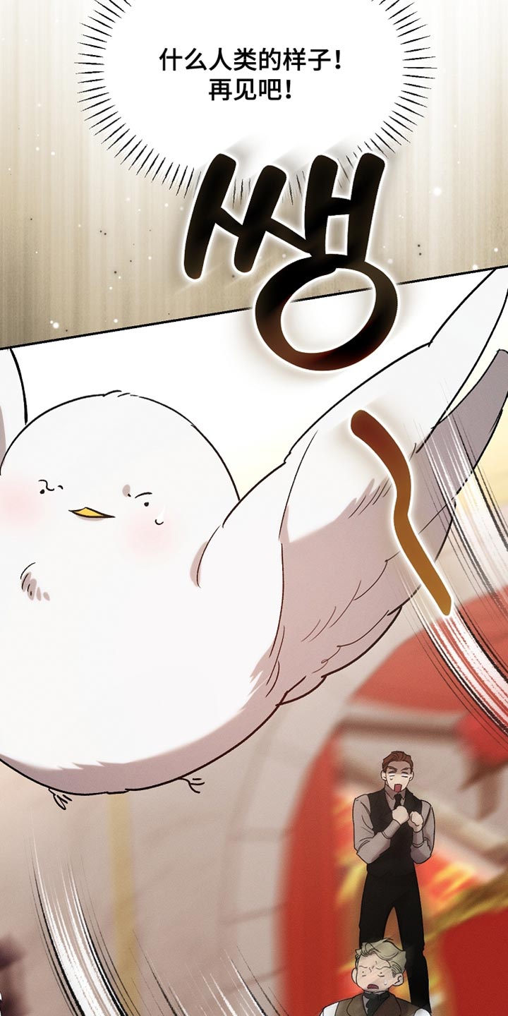 白鸟奇遇记漫画全集漫画,第132章：【第二季】单纯的眼神5图