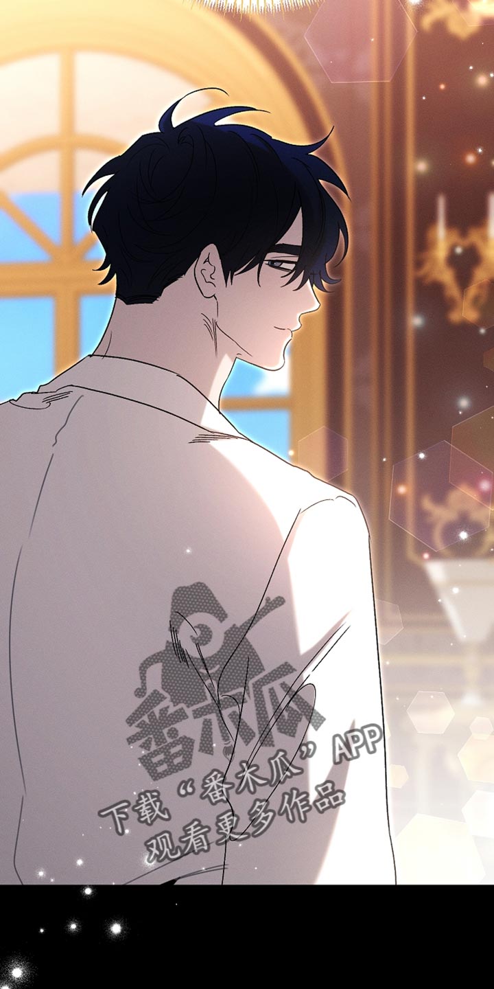 白鸟奇遇记漫画下拉式漫画,第133章：【第二季】小说结局2图