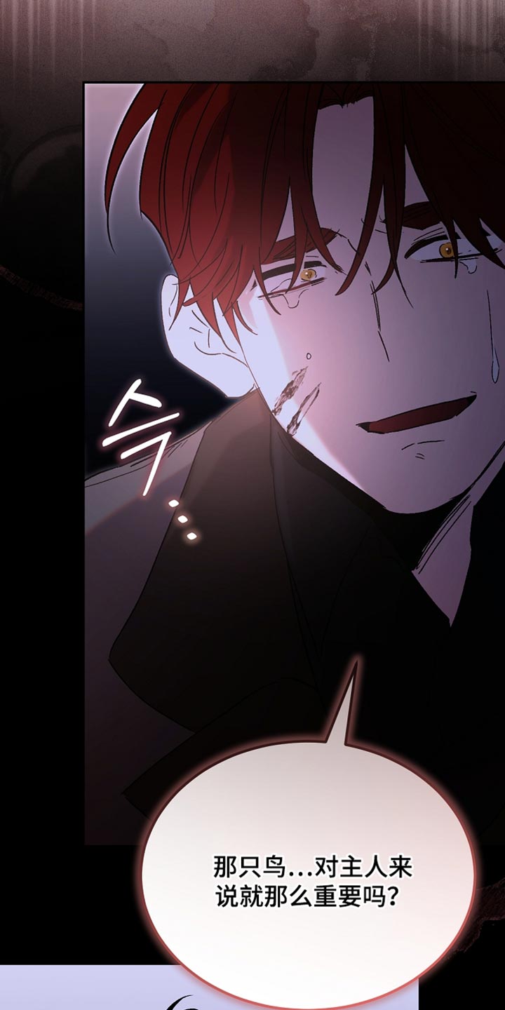 白鸟奇遇记下拉漫画漫画,第131章：【第二季】随时都可以消失2图