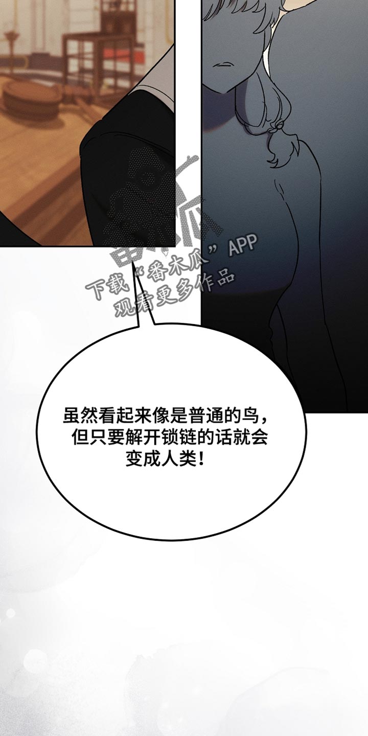 白鸟奇遇记免费全集下拉式漫画,第130章：【第二季】拍卖会3图