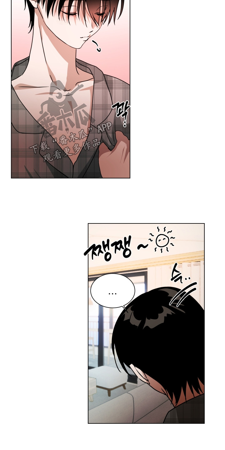 罪爱庇护所漫画,第22章：不用躲藏1图