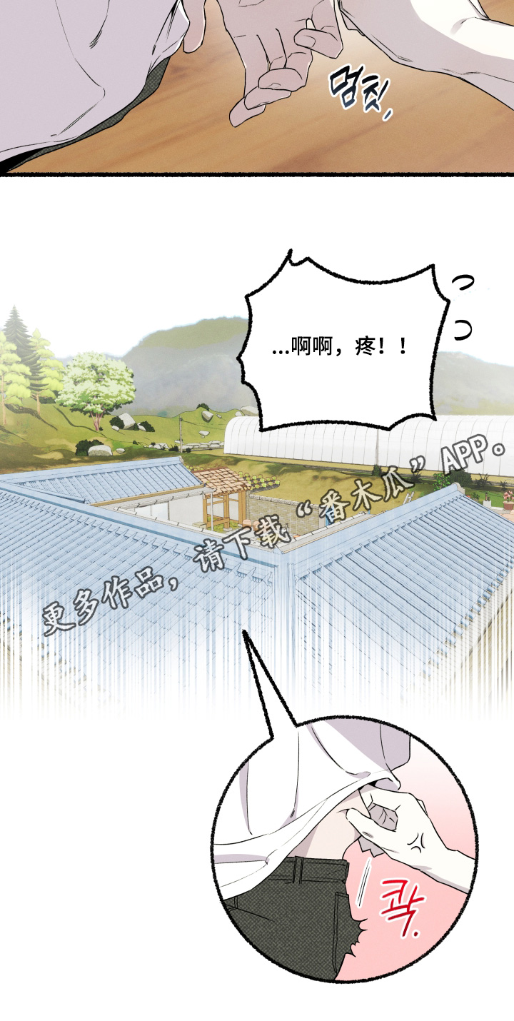 瓶中的海男漫画,第36章：不要怀疑4图