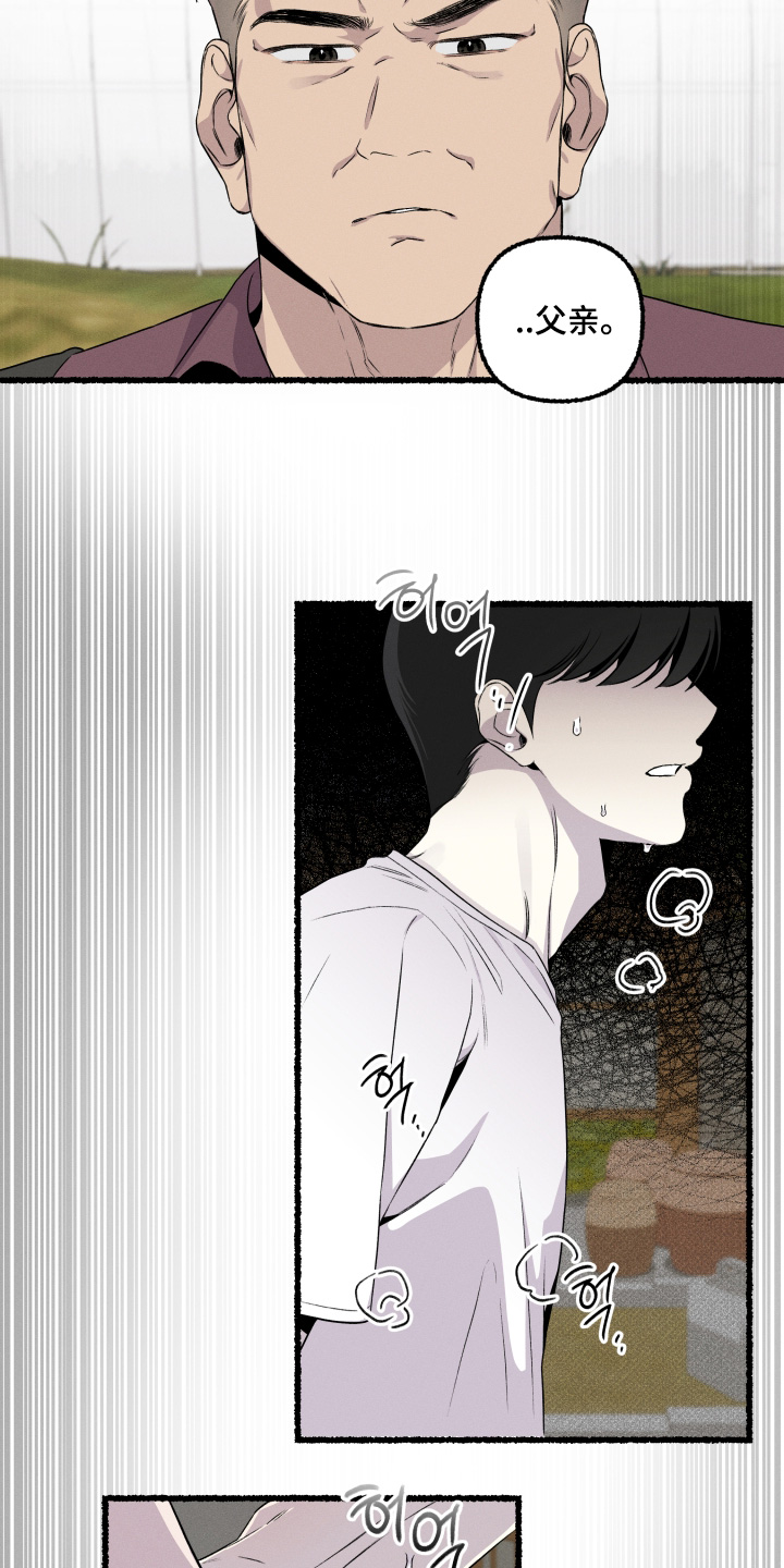 瓶中的桔梗漫画,第34章：父亲4图