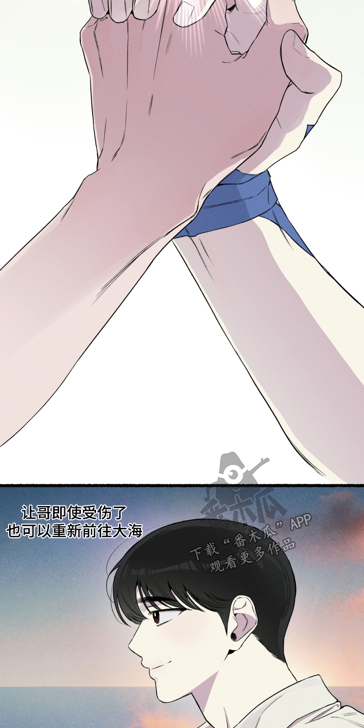 瓶中的蝴蝶免费阅读小说漫画,第32章：不要担心4图