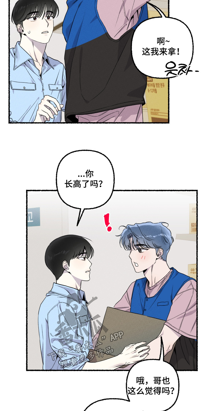 瓶中的桔梗漫画,第25章：腻歪3图