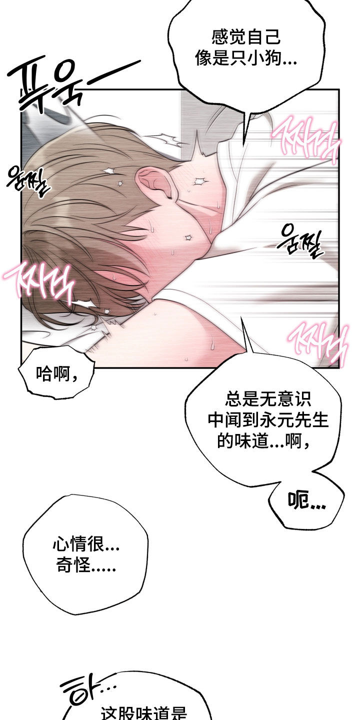 偶像有猫腻漫画,第43章：心情微妙2图