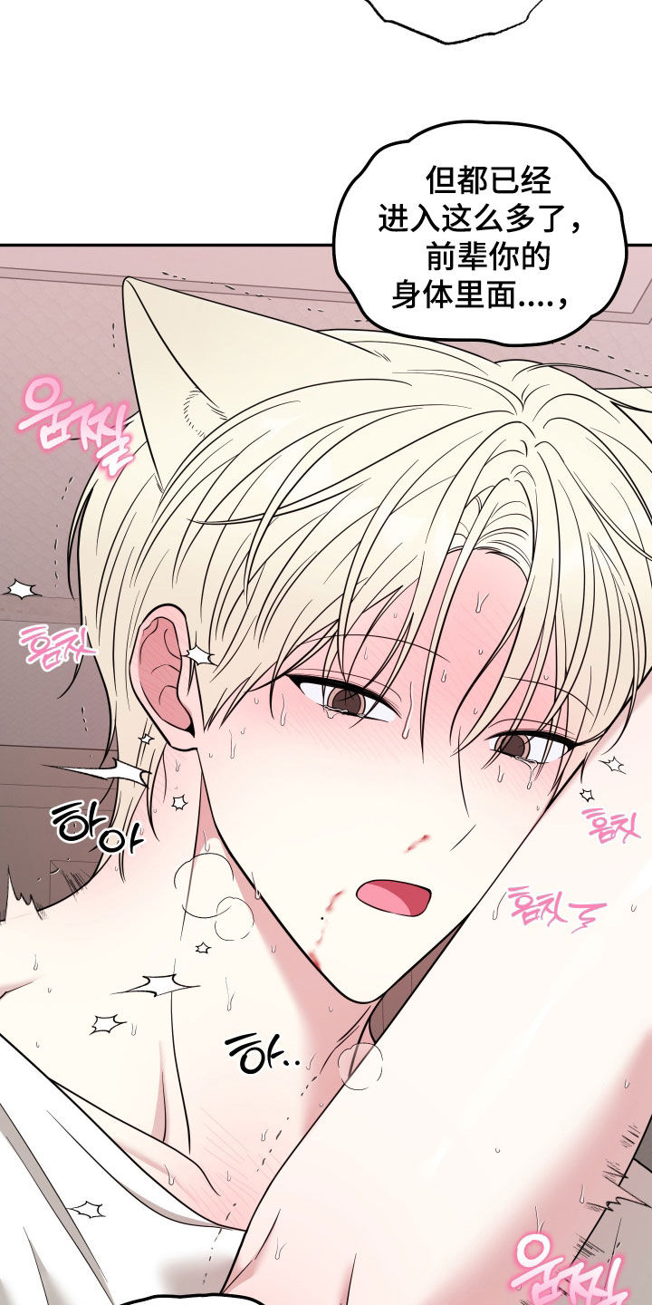 偶像有猫腻漫画,第37章：早有预料4图