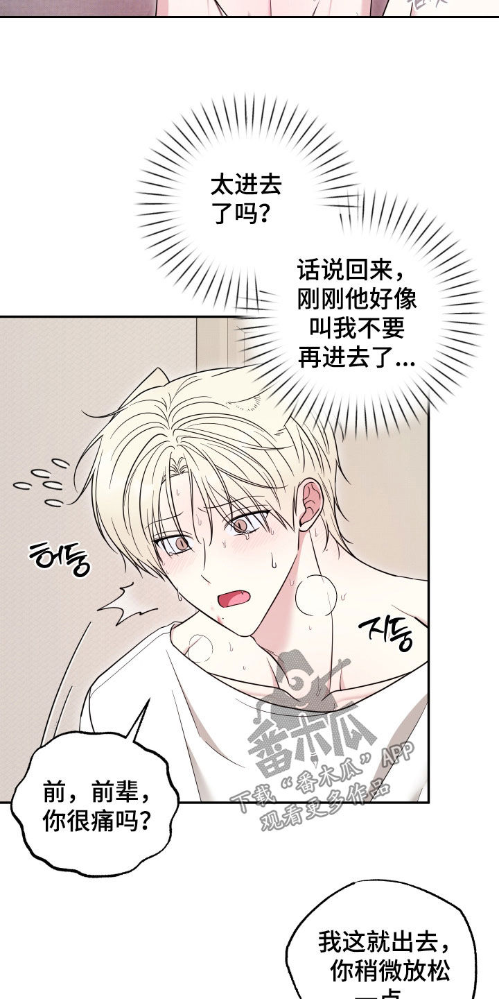 偶像有猫腻漫画,第37章：早有预料1图