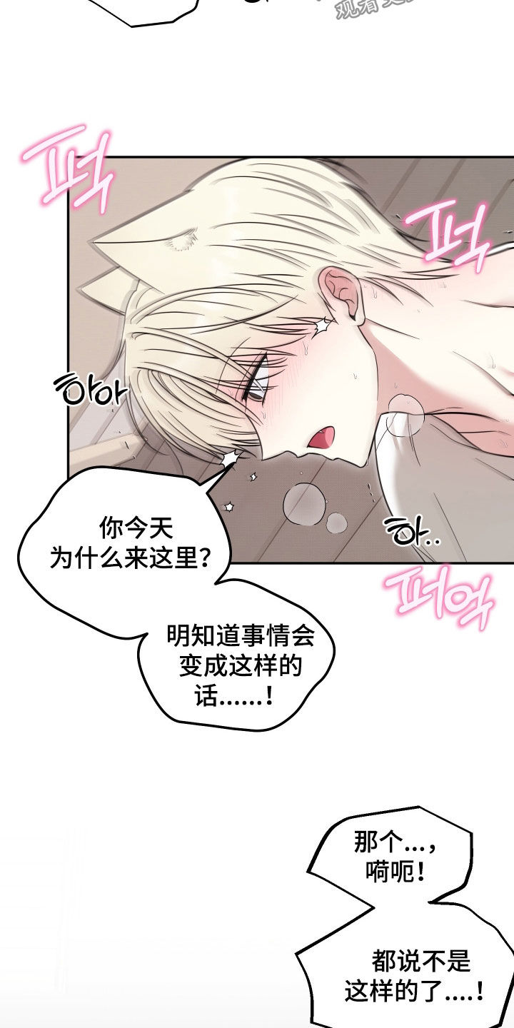 偶像有猫腻漫画,第37章：早有预料1图