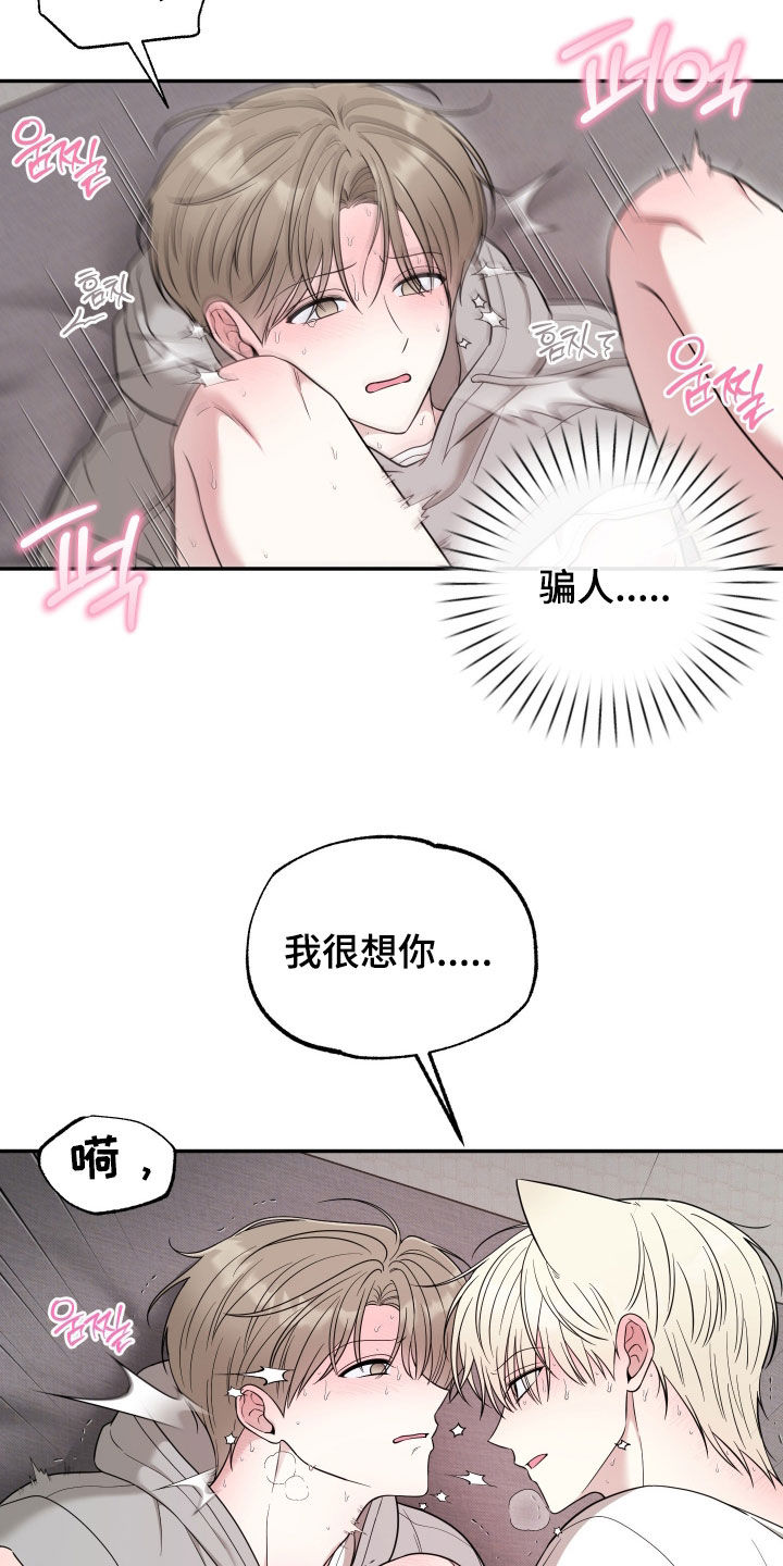偶像有猫腻漫画,第37章：早有预料2图
