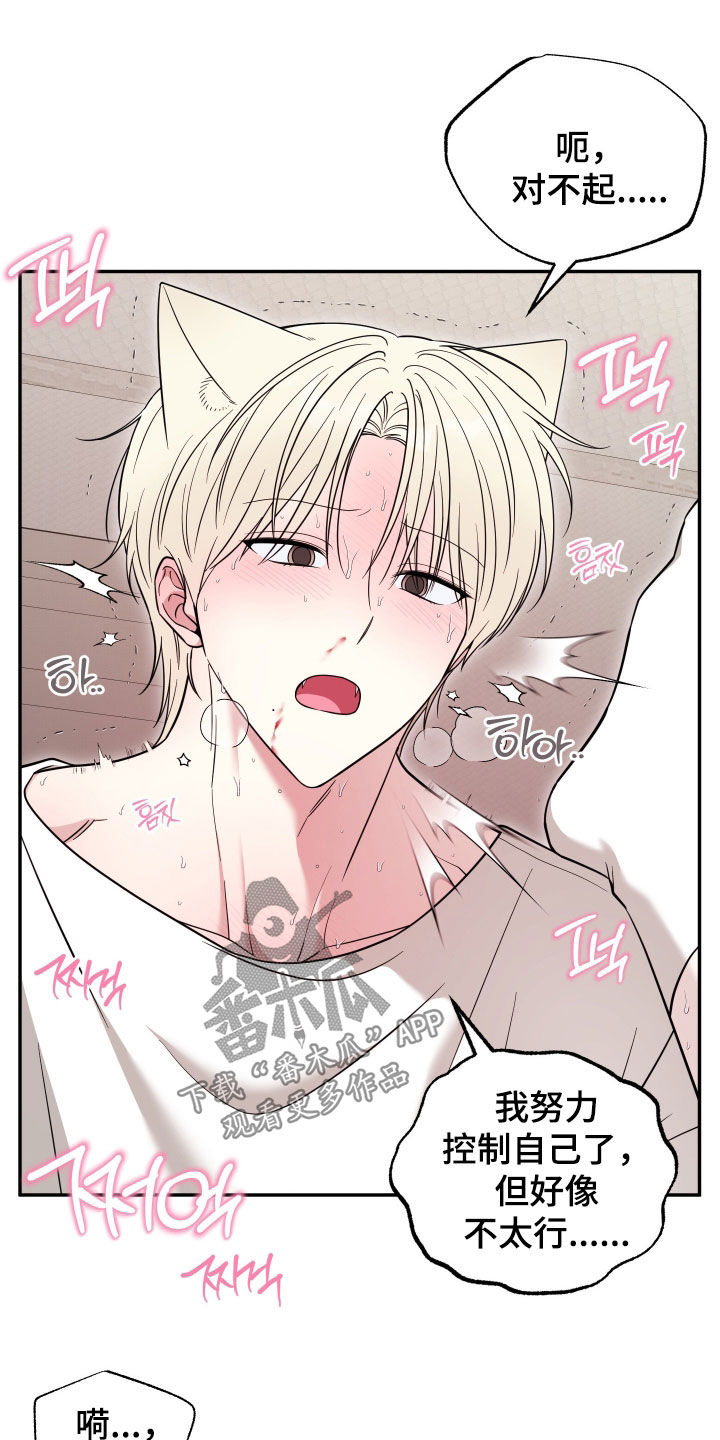 偶像有猫腻漫画,第37章：早有预料1图