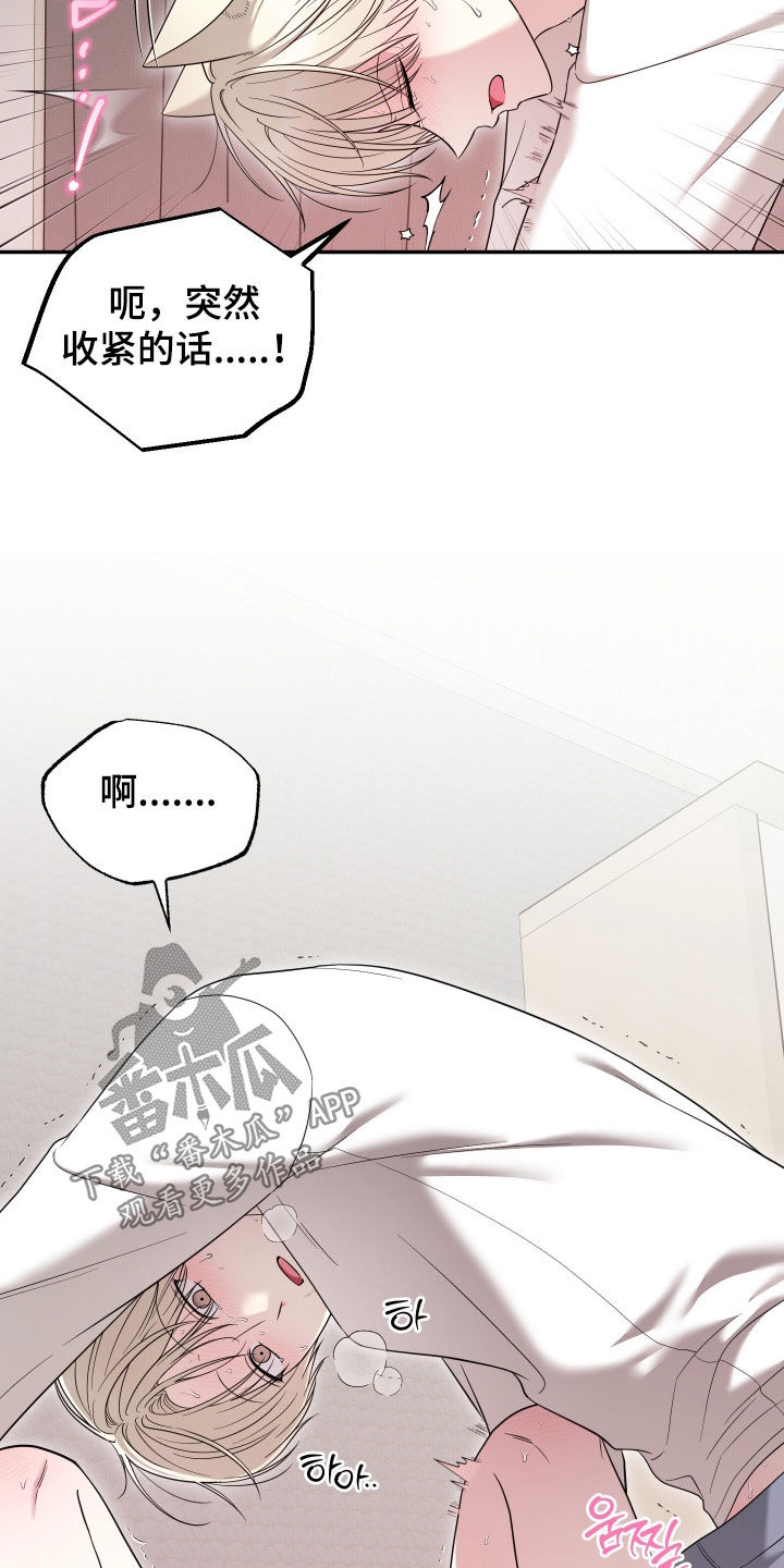 偶像有猫腻漫画,第37章：早有预料3图