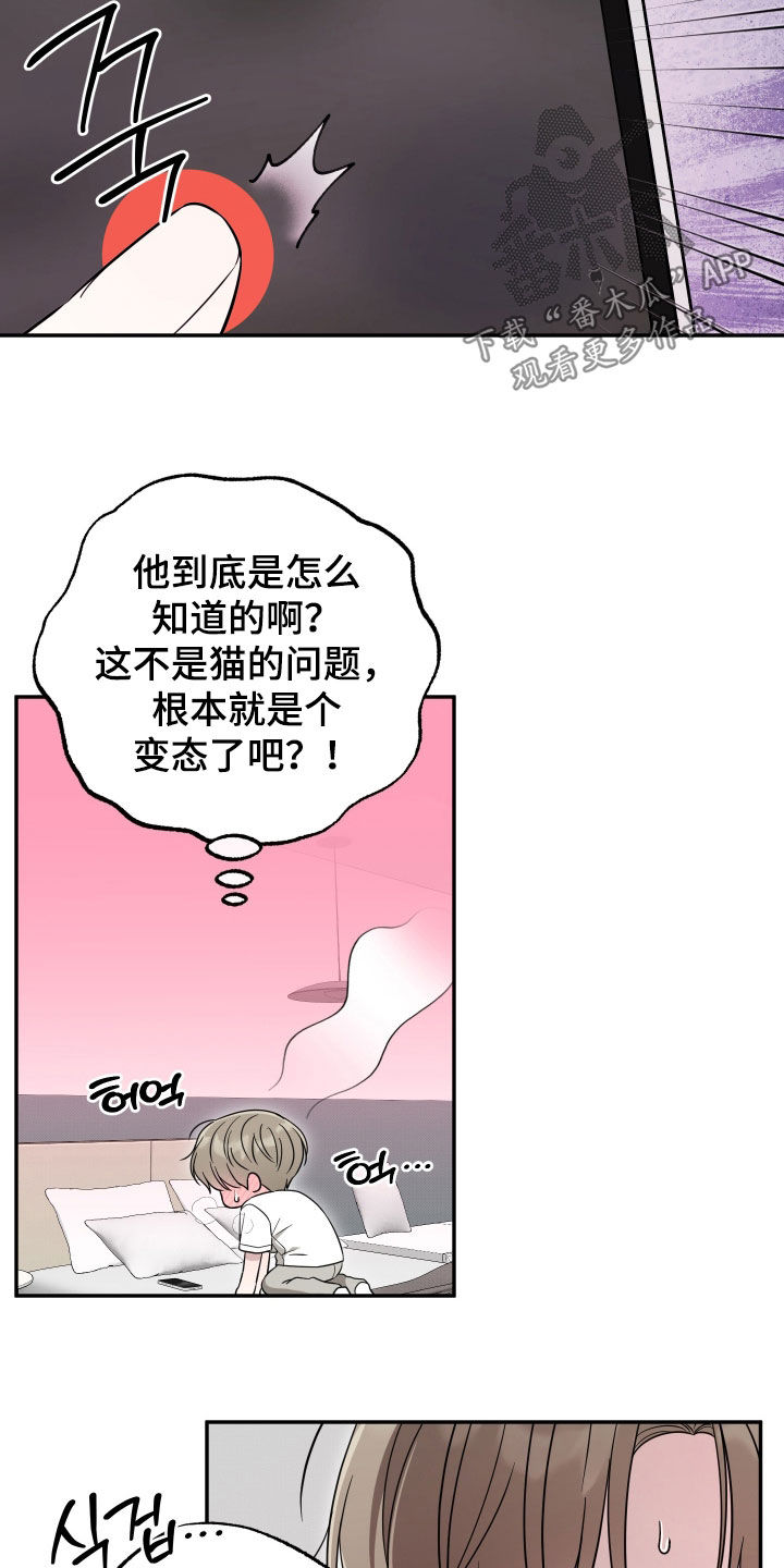 第44章：蒙混过关2