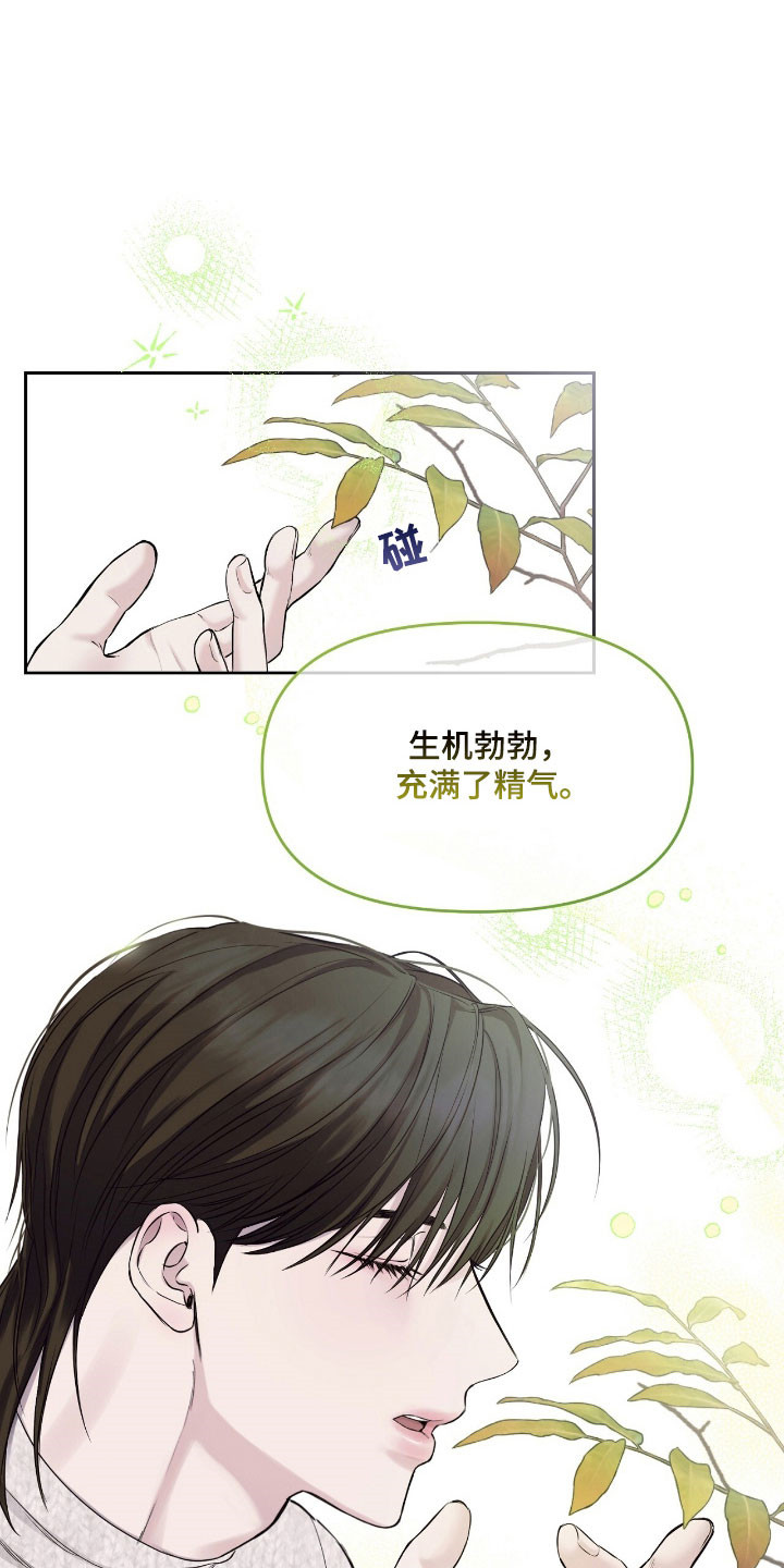 囚狐之笼漫画,第21章：故乡4图