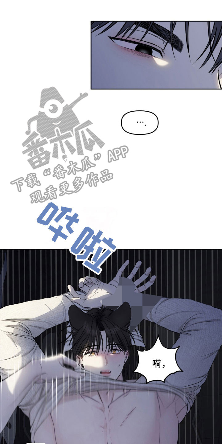 囚狐之笼漫画,第25章：证明价值3图