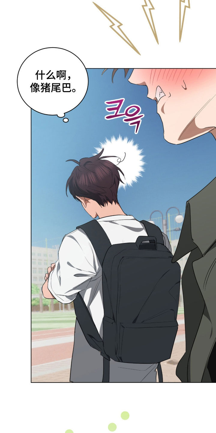 强制社保带来企业倒闭漫画,第47章：我是疯了吧3图