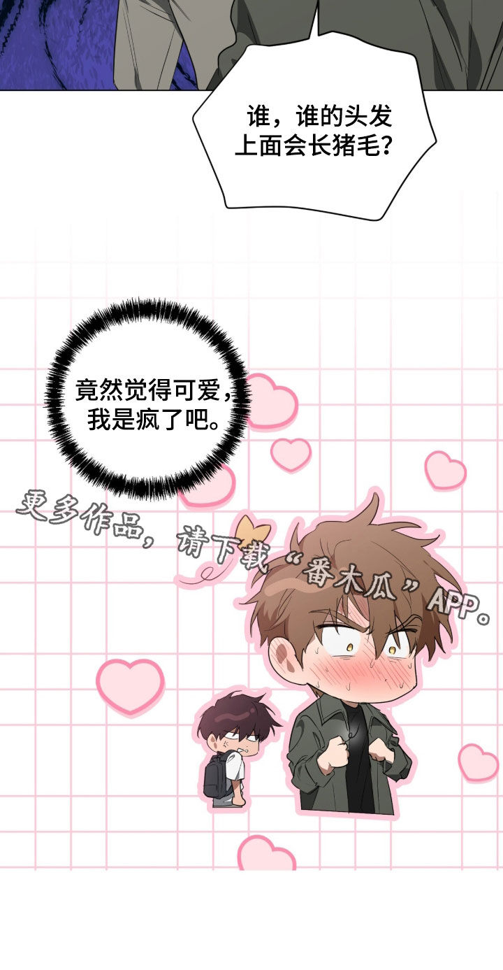 强制社保带来企业倒闭漫画,第47章：我是疯了吧1图