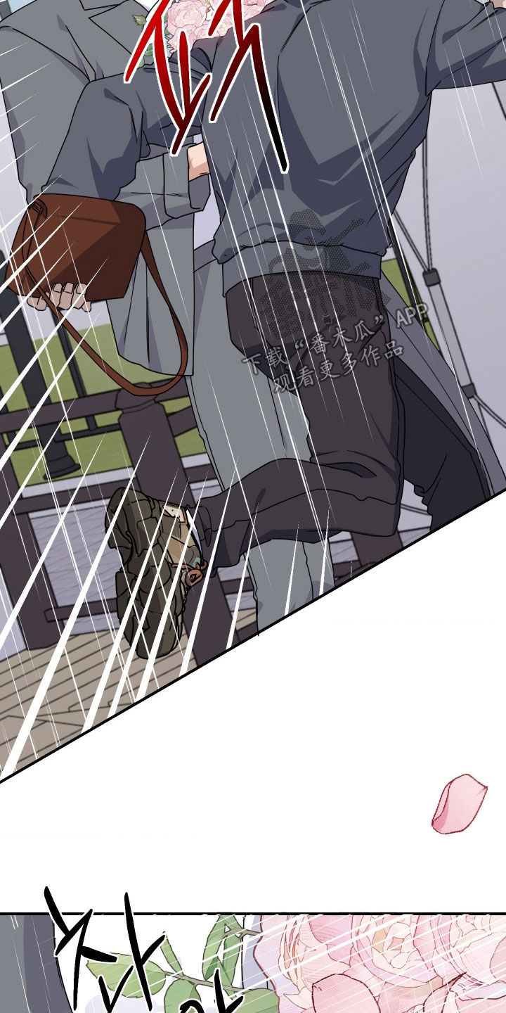 鲁滨逊漂流记漫画,第29章：抓小偷2图