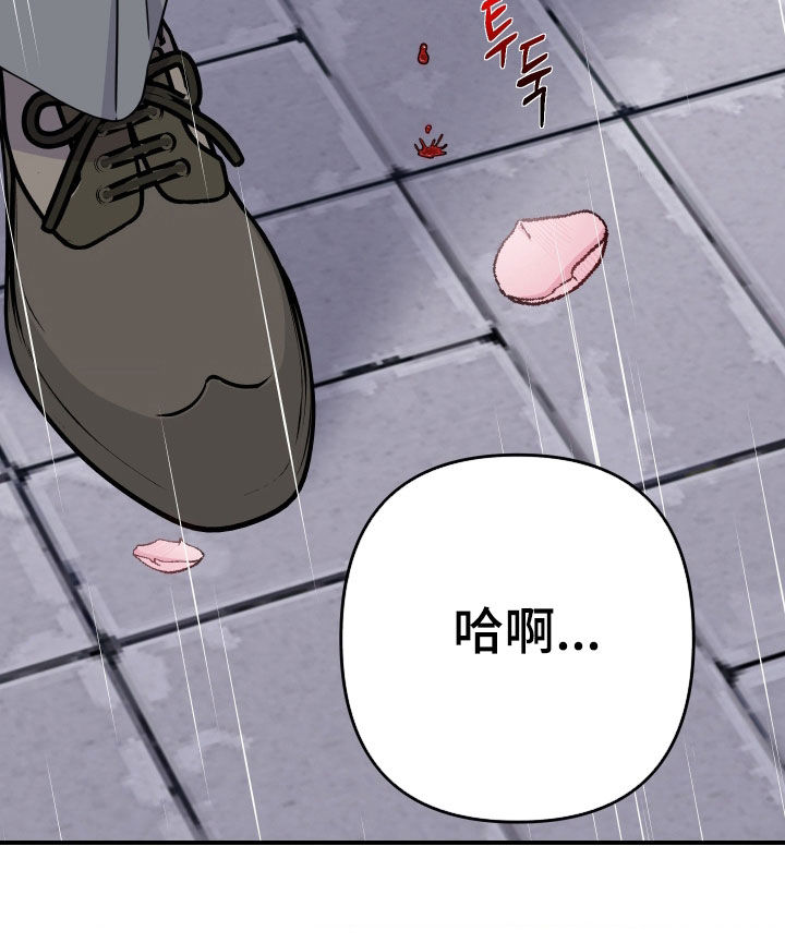 鲁滨逊漂流记漫画,第29章：抓小偷5图