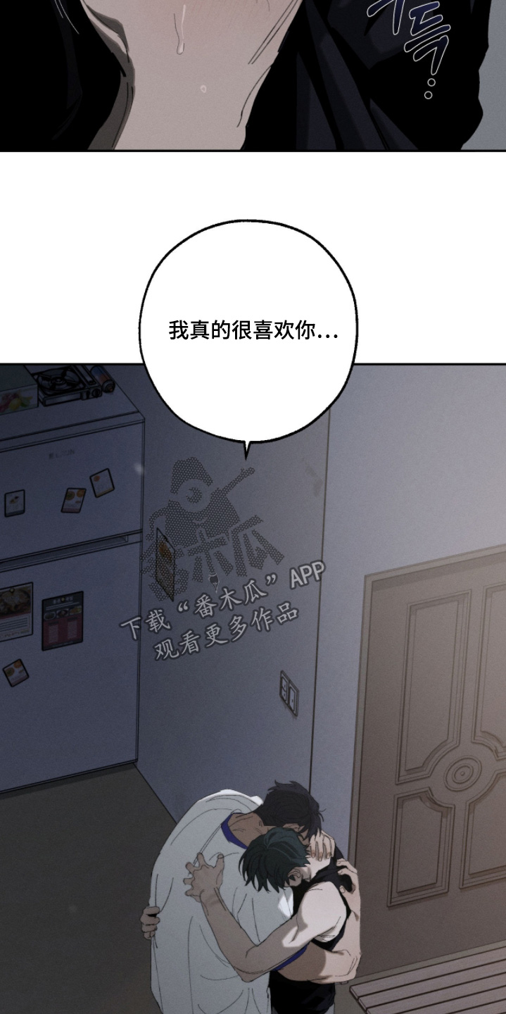 不完整的五角星漫画,第51章：留在我身边5图