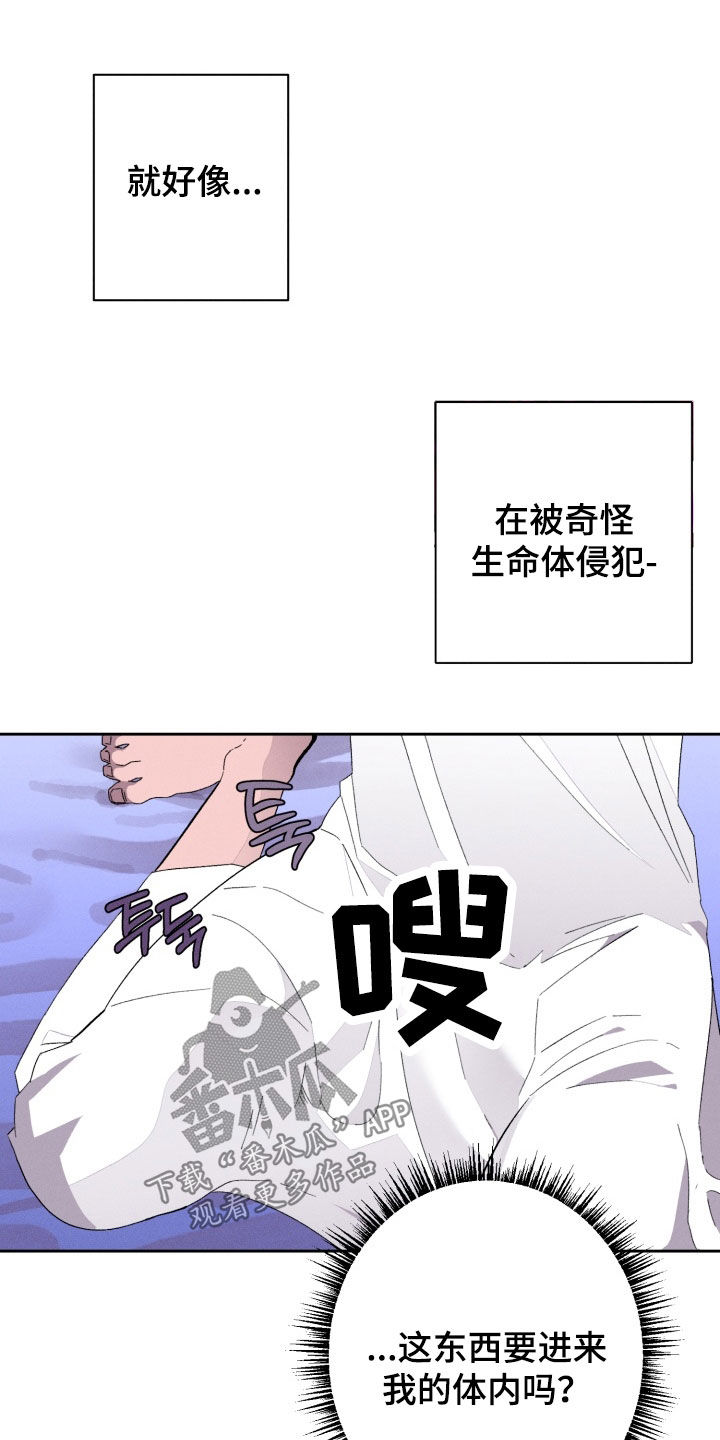 博士的家2小游戏漫画,第25章：尽量若无其事4图