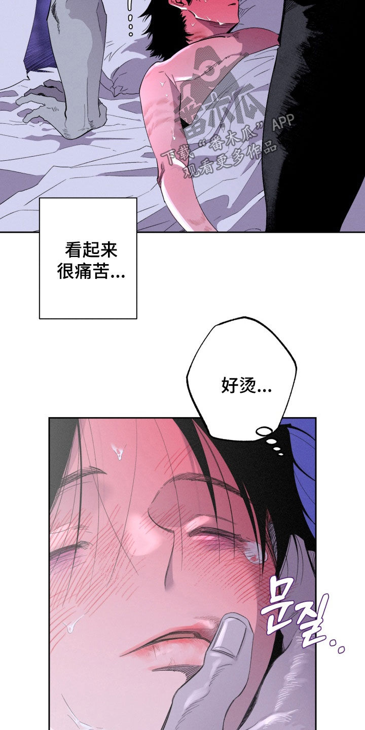 博士的惊魂夜漫画,第29章：为什么要解释5图