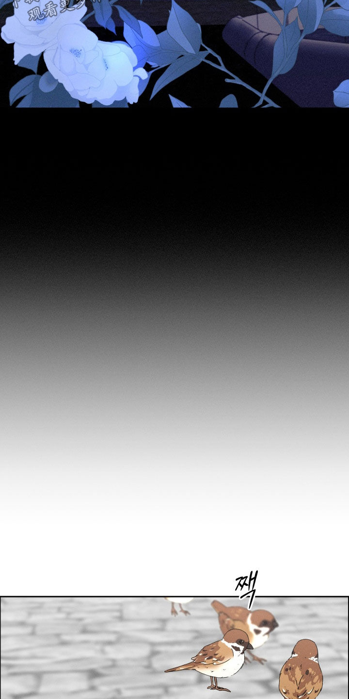 博士的惊魂夜漫画,第29章：为什么要解释4图