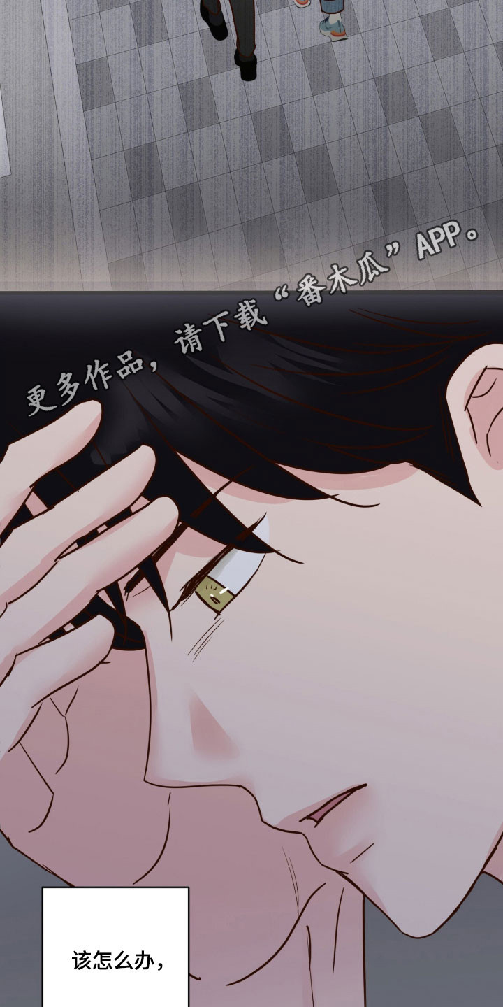 暗恋失效日漫画,第53章：挽回一切3图