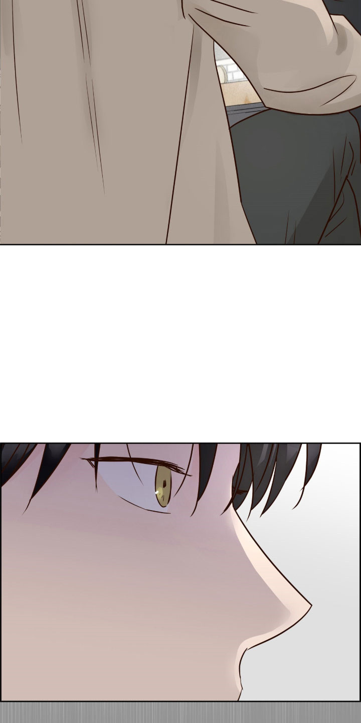 暗恋失效日漫画,第50章：看到安心2图