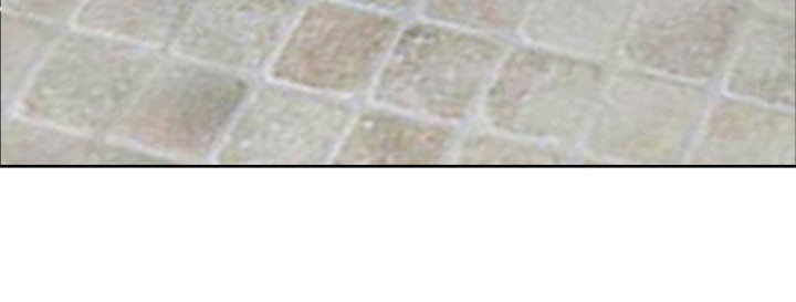 暗恋失效日漫画,第48章：调查5图