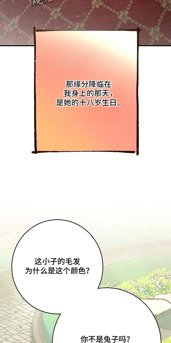 黑豹配偶超棘手漫画,第25章：你自己来说3图