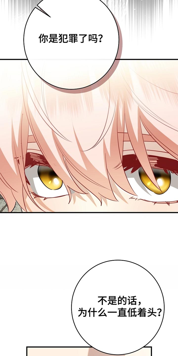 黑豹配偶超棘手漫画在哪里看漫画,第24章：昂首挺胸1图