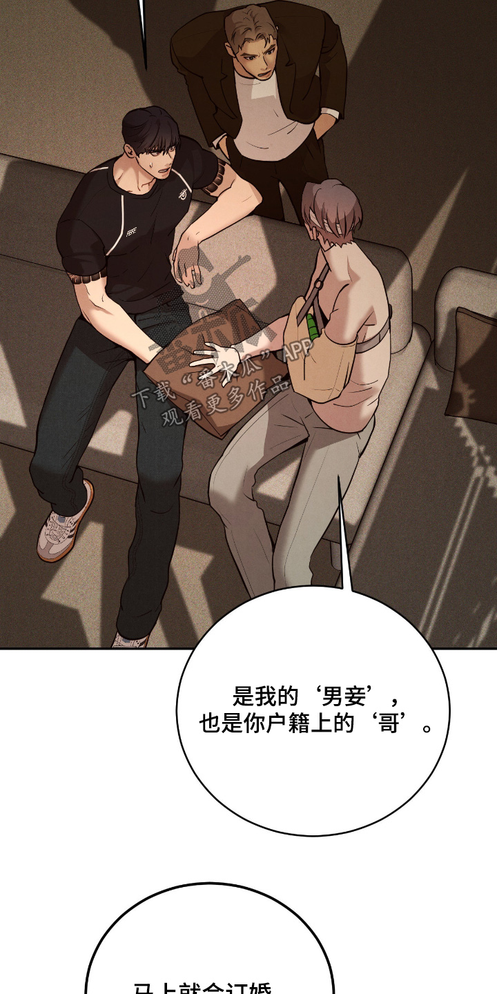 点燃的罪孽漫画,第26章：他的未婚夫1图