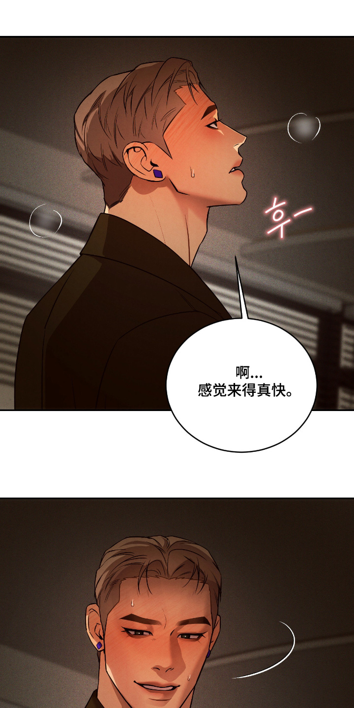 点燃的罪孽漫画,第26章：他的未婚夫4图
