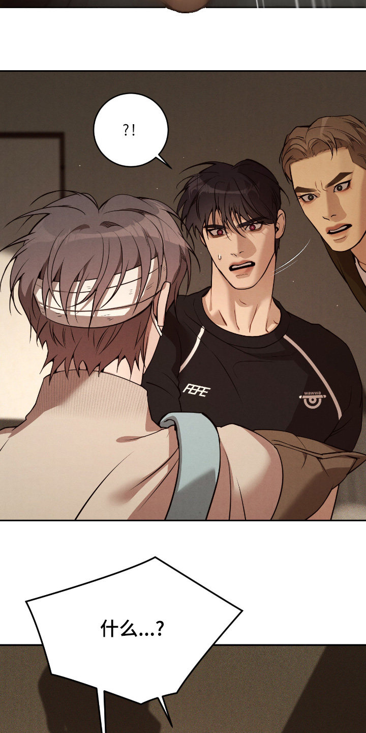 点燃的罪孽漫画,第26章：他的未婚夫5图