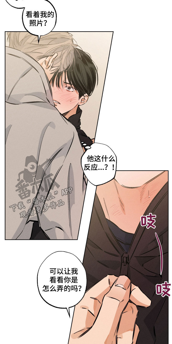 霓虹体温漫画后续在哪看漫画,第37章：你冷静点1图