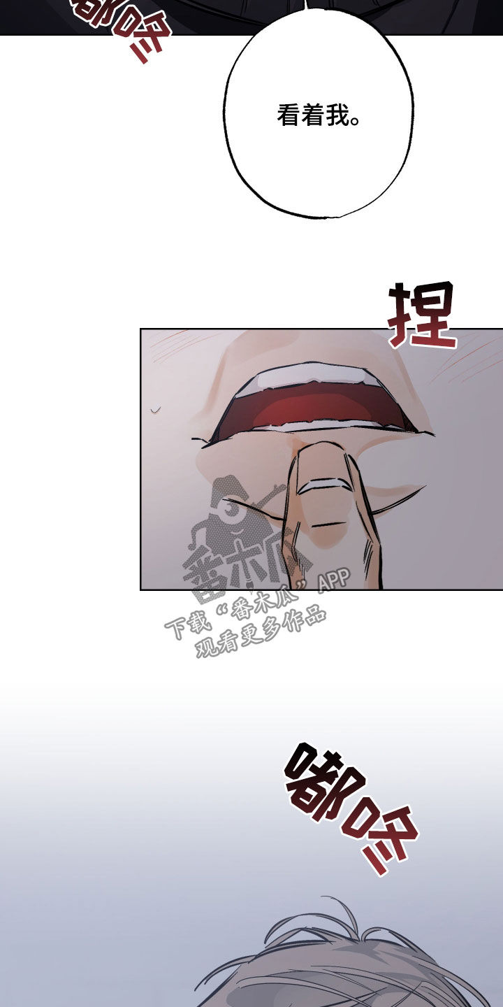 霓虹体温漫画后续在哪看漫画,第29章：同意1图
