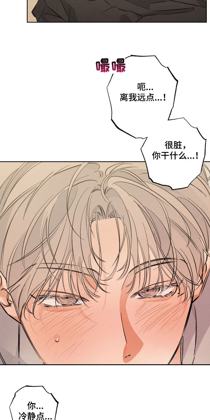 霓虹体温漫画后续在哪看漫画,第37章：你冷静点4图