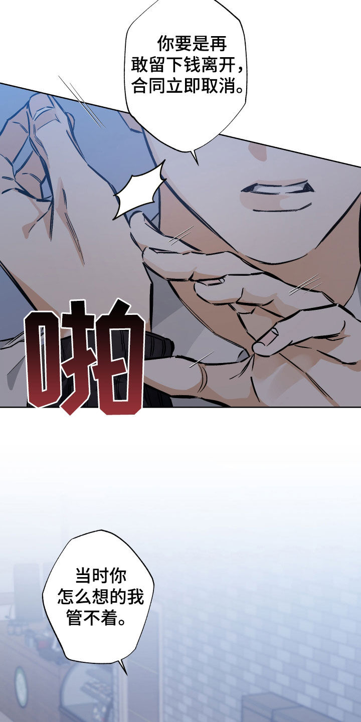 霓虹体温漫画后续在哪看漫画,第29章：同意5图