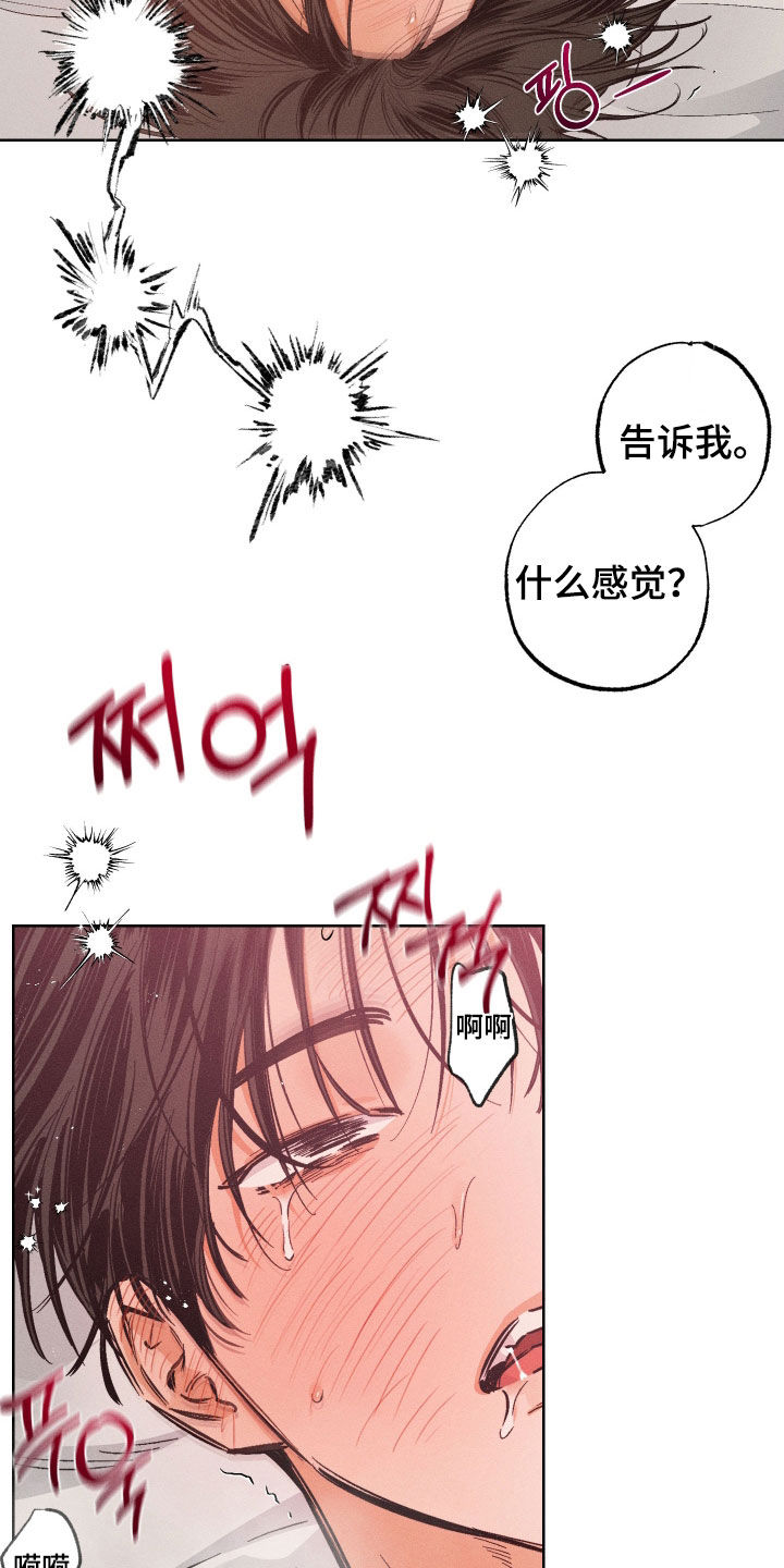 第40章：雨夜3