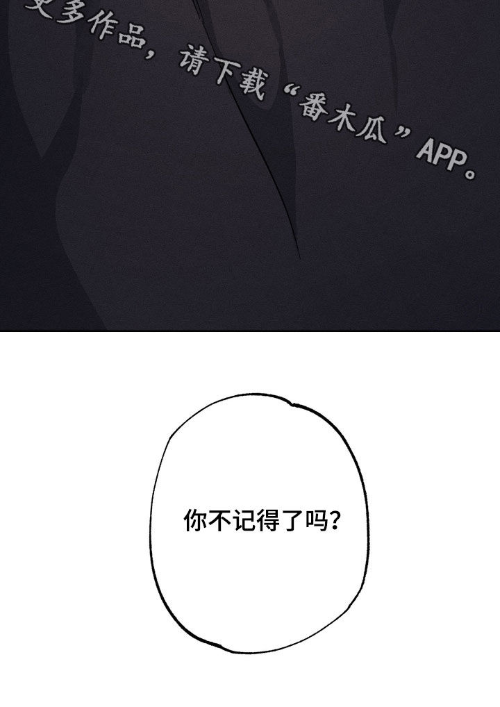 霓虹体温更新情况漫画,第28章：你不记得了吗5图