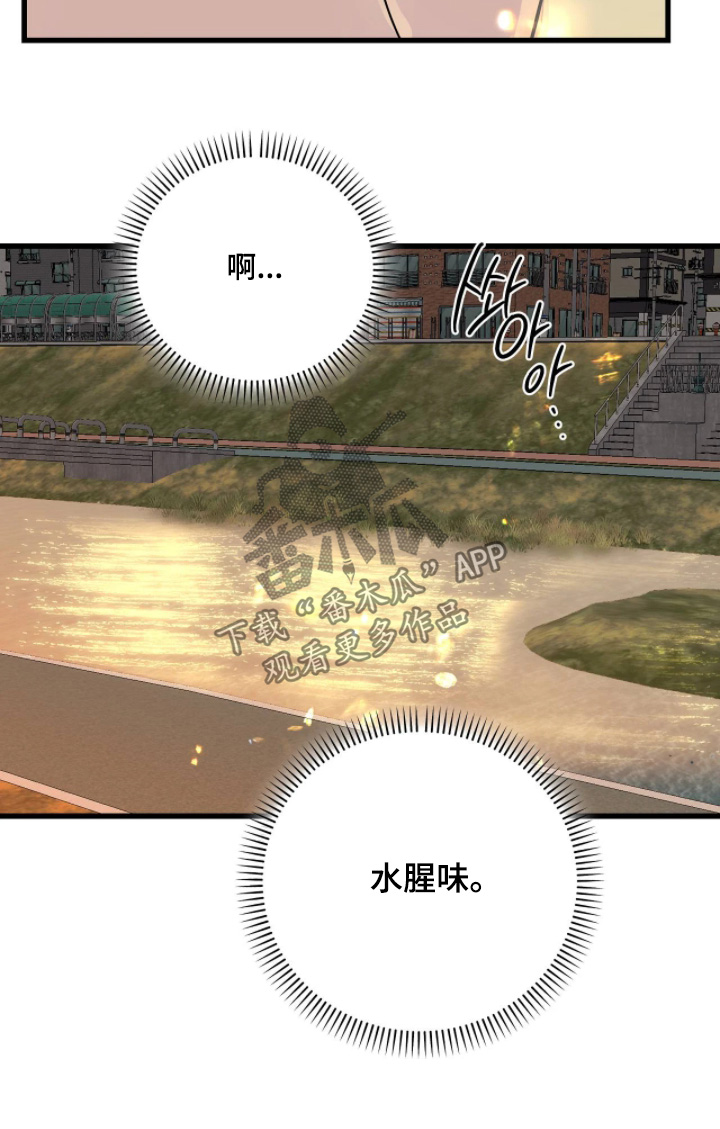 五月份的祖母绿漫画,第53章：想起那天4图