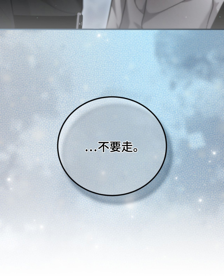 双生灵漫画,第62章：不要走2图