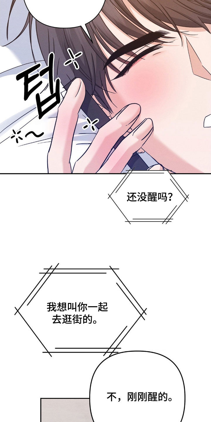 伪装捕心漫画,第14章：完美的计划5图