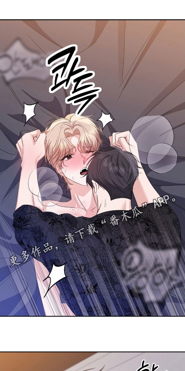 伪装捕心漫画,第18章：没必要感到不安1图