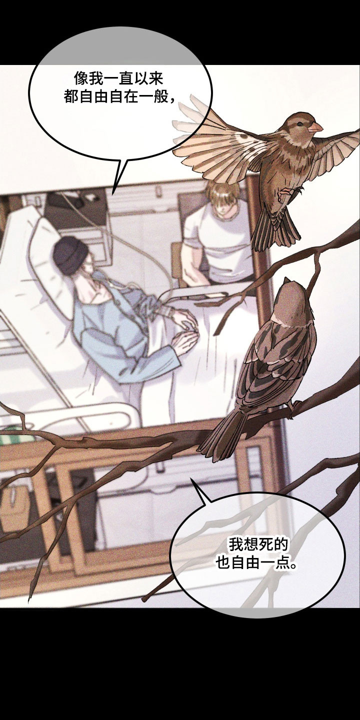 drew紫罗兰漫画,第29章：他的故事2图