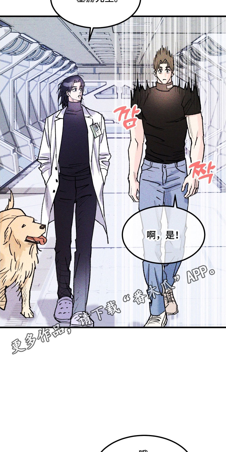 紫罗兰永恒花园备忘录漫画,第25章：最终武器1图