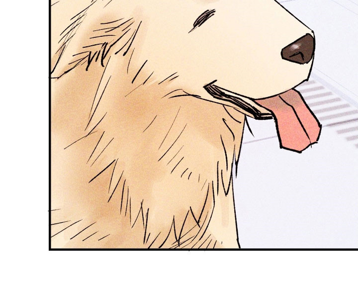 紫罗兰永恒花园备忘录漫画,第25章：最终武器5图